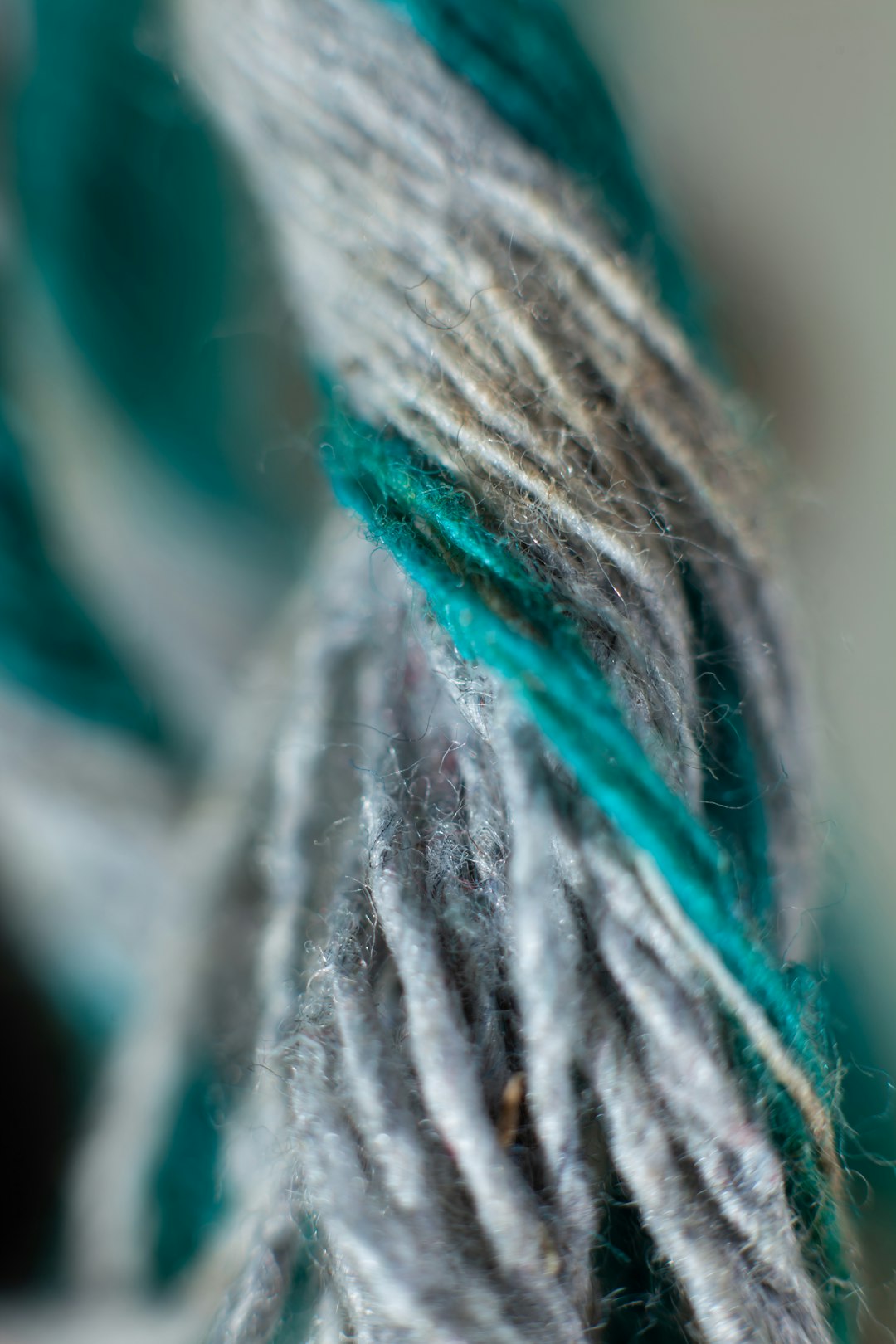 Хімчистка килимів